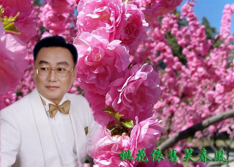 蒋大为《桃花依旧笑春风》