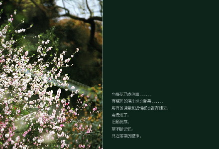 玉质识别