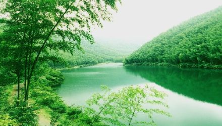  小提琴《哭砂》
