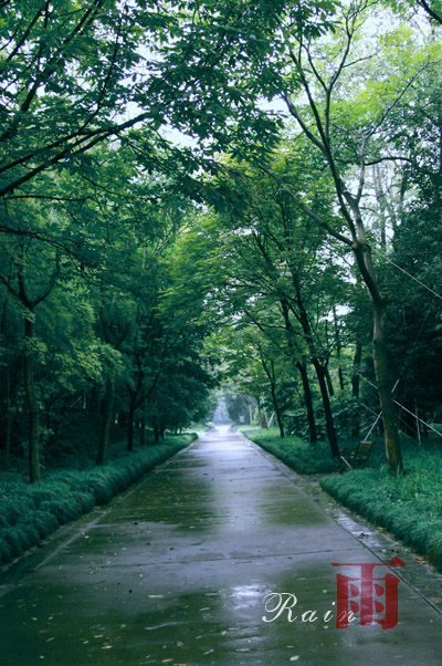 钢琴曲《Raining Morning》