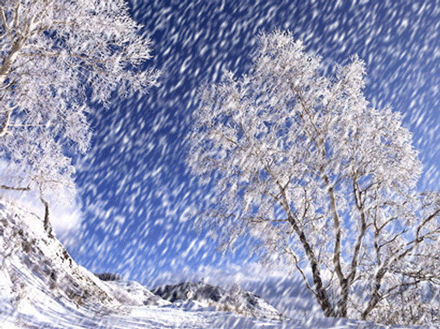 凄  凉  雪