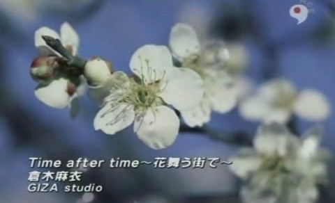 倉木麻衣《time after time 花舞う街で》