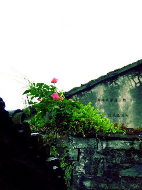 A Day Goes By - 邵容