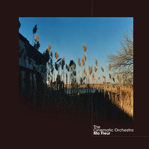 Cinematic Orchestra - That Home