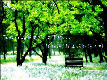 beautiful lady. 美丽女子