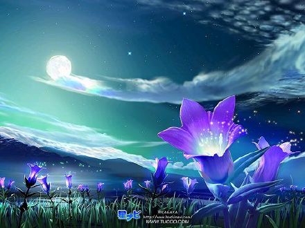 久石让《天空之城》木吉他版