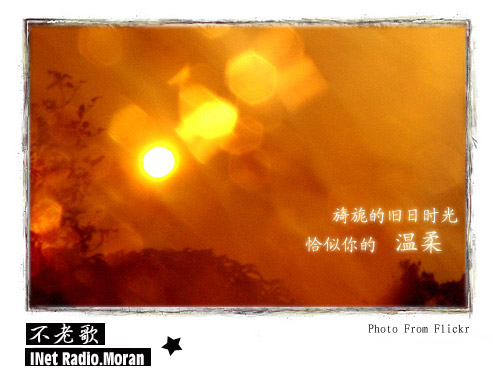 蔡琴《恰似你的温柔》