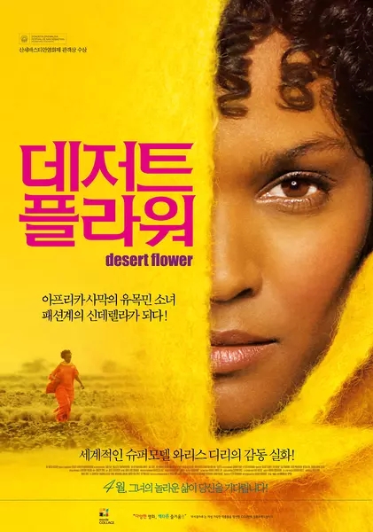 电影《沙漠之花》插曲--Desert Flower In Blossom