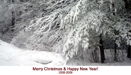 Bing Crosby -＂ White Christmas＂