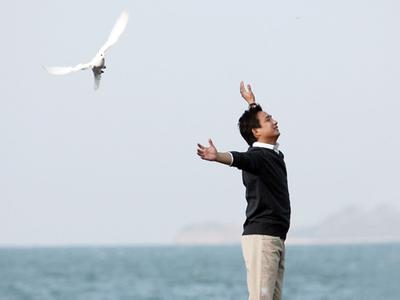 黄磊《石头》
