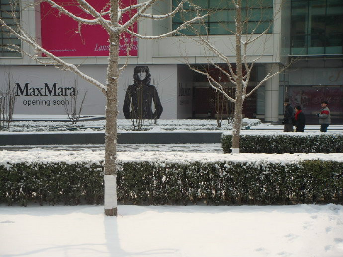 田震《北京之雪》
