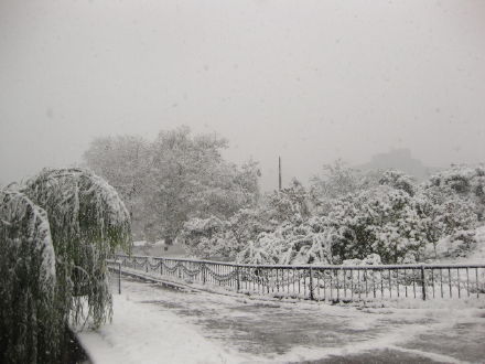 《飘雪》中岛美嘉