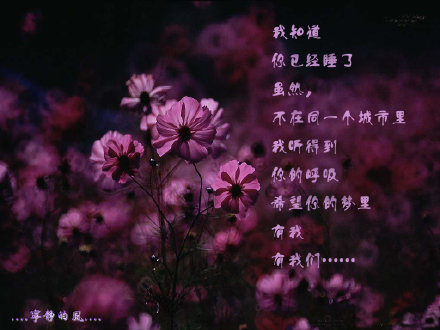 我给你的爱一直很安静 我从一开始就下定决心