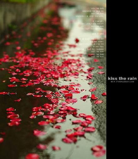 Guns N' Roses《Don't Cry》