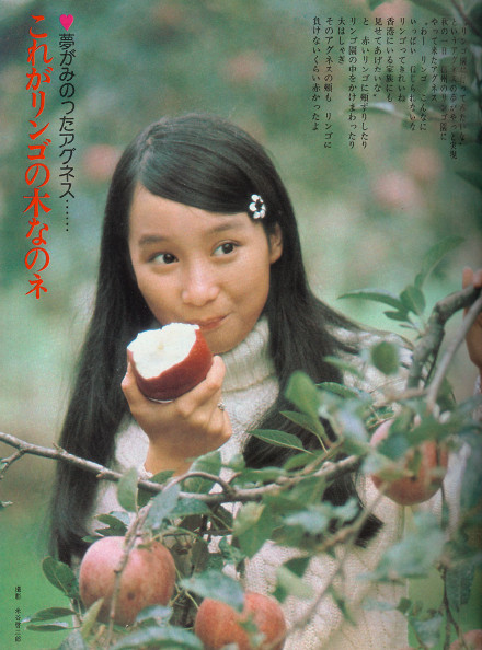 1972年陈美龄《虞美人之花》