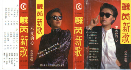 那英早期翻唱苏芮《不变的心》1989年