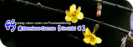 竹舞Bamboo Dance 【Orchid 兰】 纯音