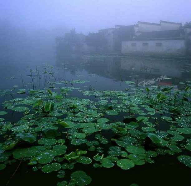 王崴《水墨流觞》--蝴蝶谷