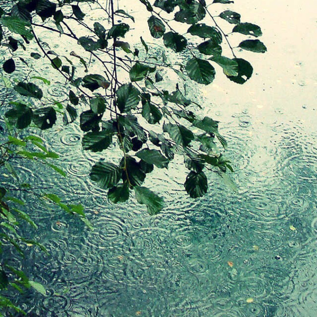 低雨浅酣不觉眠。