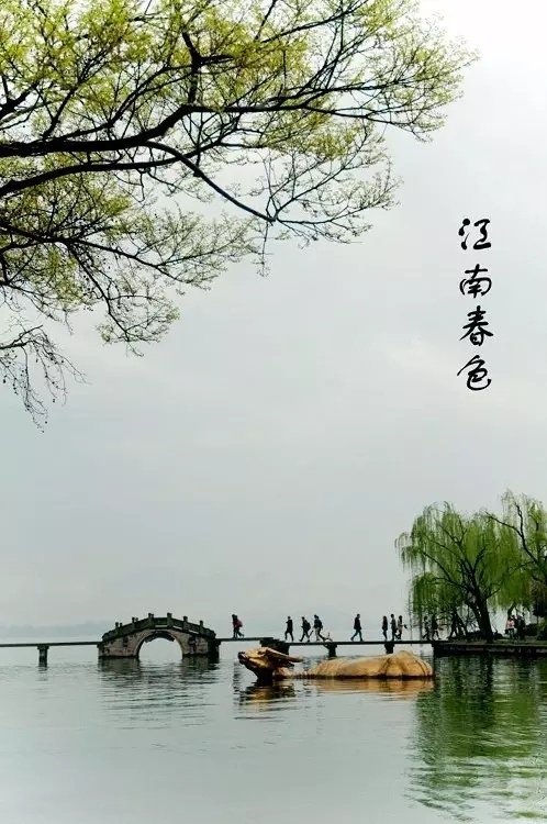 《烟雨江南》——云菲菲