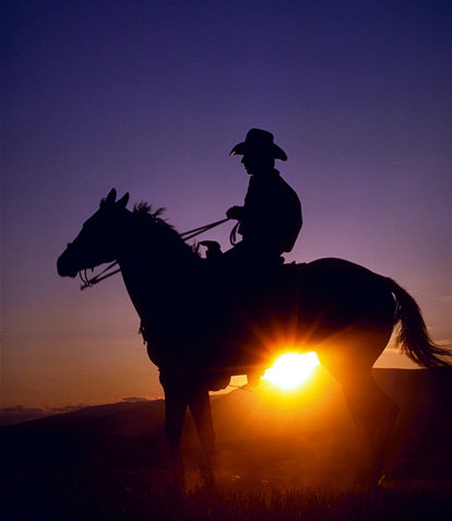 《TAKE ME HOME,COUNTRY ROAD》(演唱(LIVE) Joh
