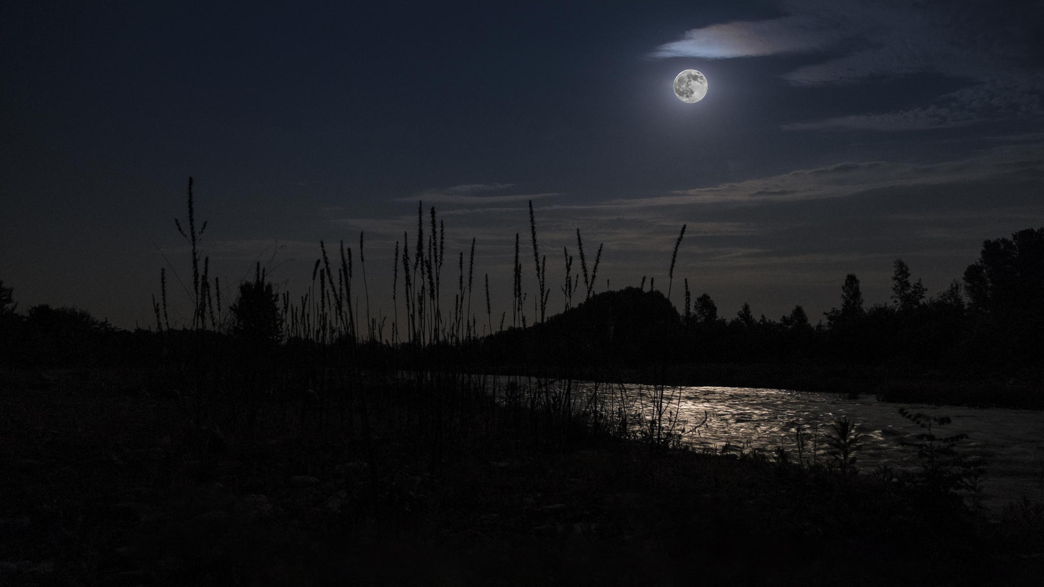 蓝月 Blue Moon / Mel Tormé