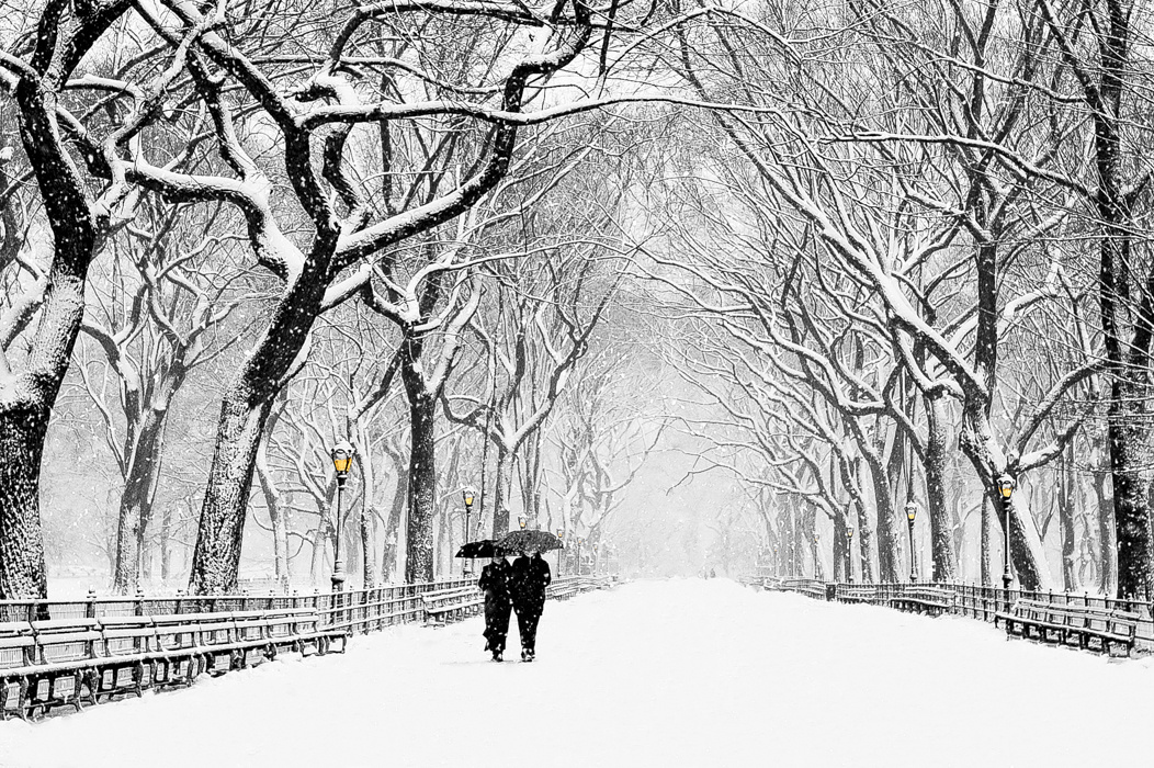Rod.McKuen《Only Love》