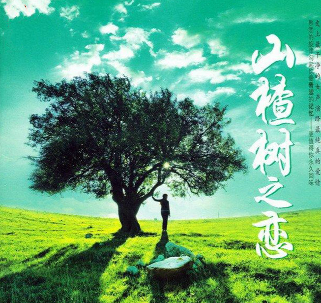电视剧《山楂树之恋》片尾曲--《来生再拥抱》张咪