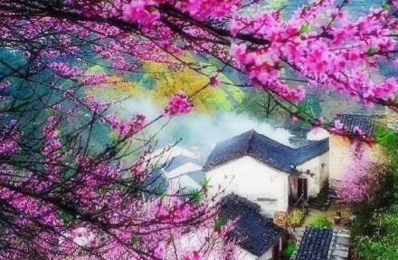 《一曲红尘》