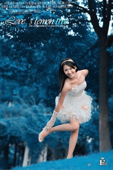 《老橡树上的黄丝带》  演唱：瑞典组合Dawn