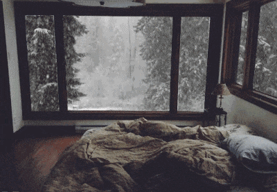 Amid The Falling Snow--雪花飘飘
