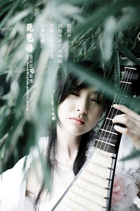 经典国乐 琵琶语（作曲:林海）