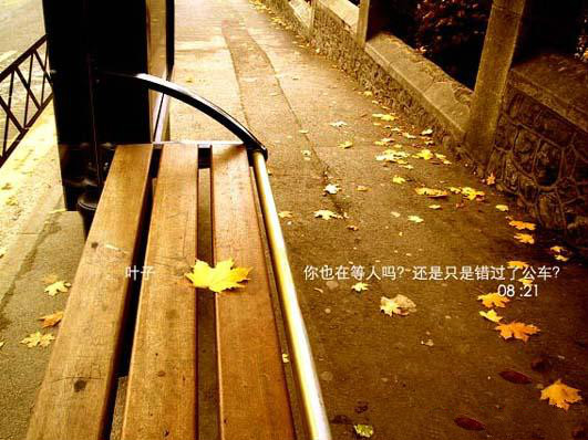 电视剧《梦里花落知多少》插曲--影子（徐拜卉）