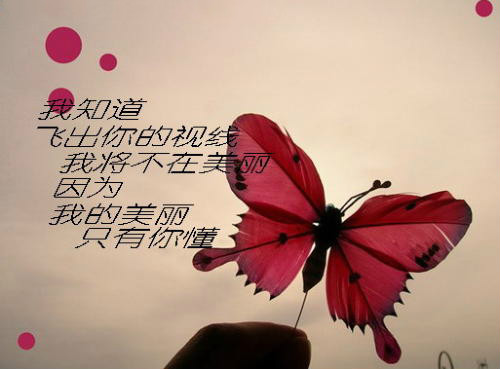 Babyface（娃娃脸）--Not Going Nowhere