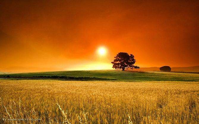 电视剧《走出沼泽》片尾曲--《半圆的镜子》韦唯