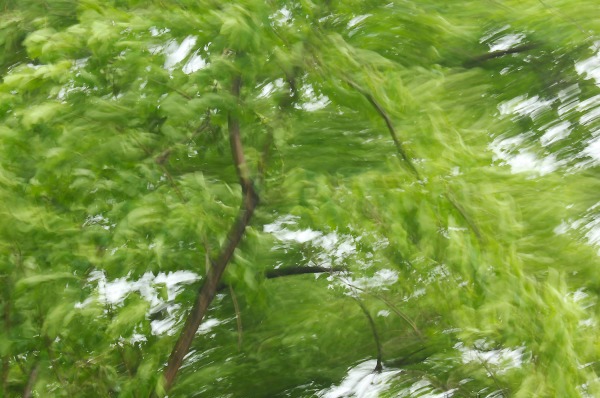 《风继续吹》张国荣