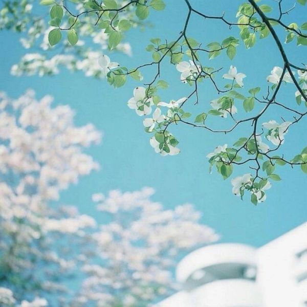 在你远去的这些时间里 Leaving Time/ Barzin