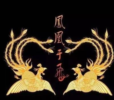张惠妹《凤凰于飞》