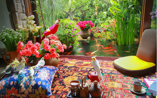 杨丽萍的绝色花园