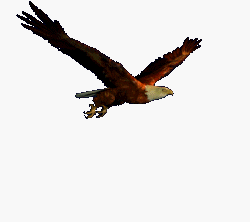《El condor pasa》（老鹰之歌）