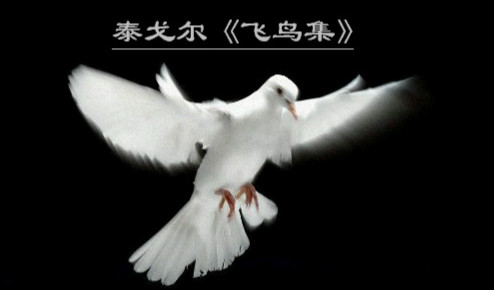 泰戈尔《飞鸟集》