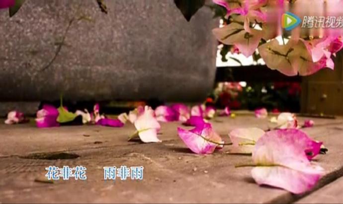 一曲禅音《落花无意》让人心静