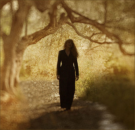 Loreena McKennitt--Skellig 岩石