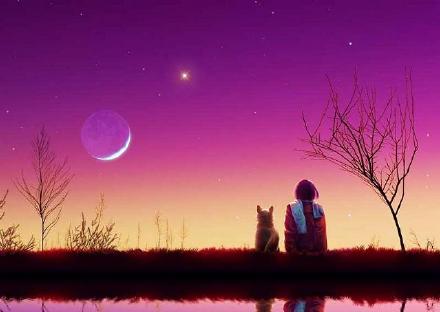 月光下的一抹清辉 Moonlight Shadow- ——Italobrothe