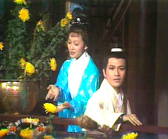 张德兰《鲜花满月楼》