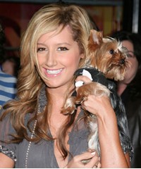 Ashley Tisdale《What If》如果