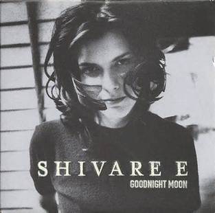 电影《杀死比尔2》片尾曲--《Goodnight Moon》Shivaree