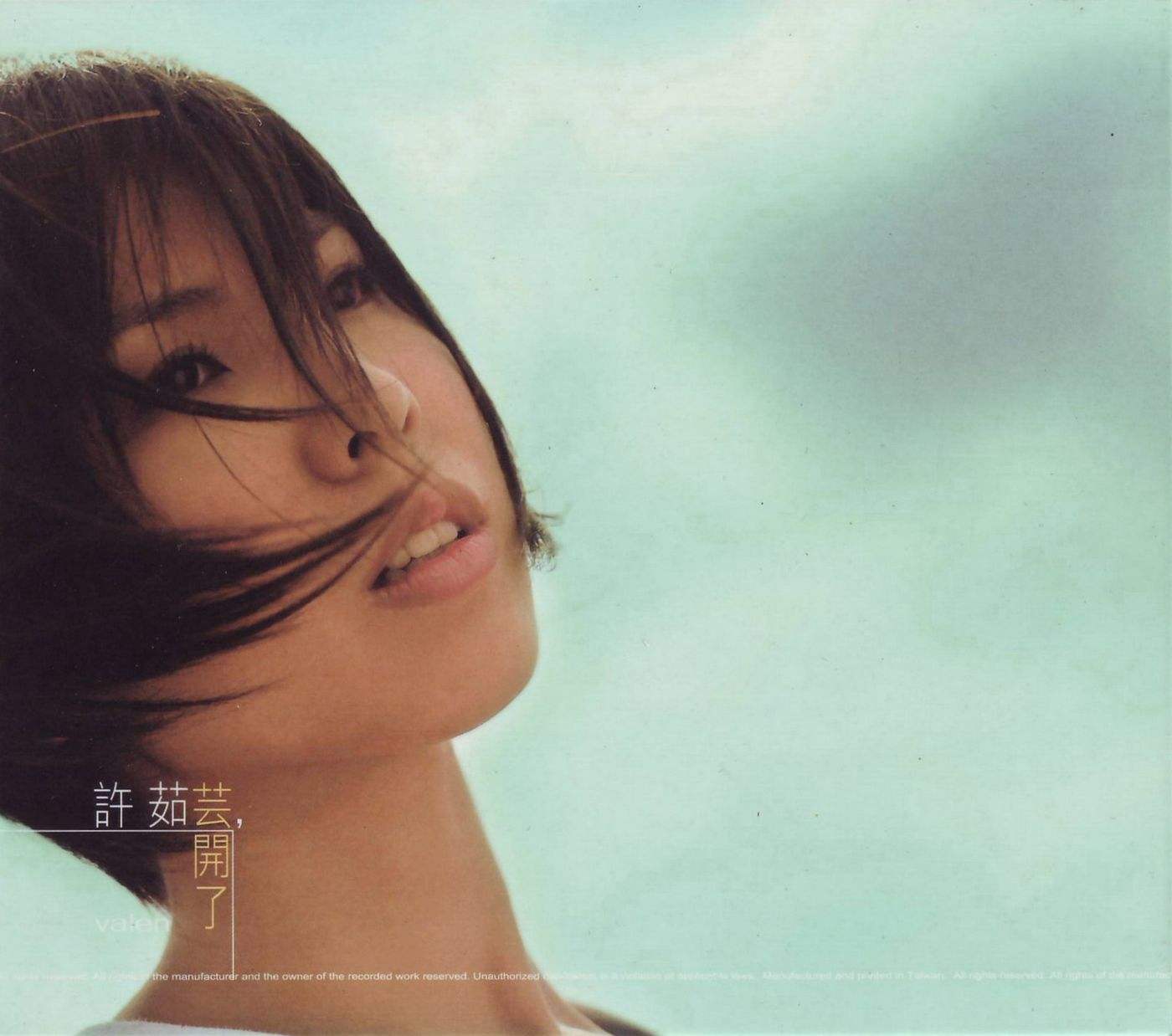 许茹芸《此时快乐的代价》