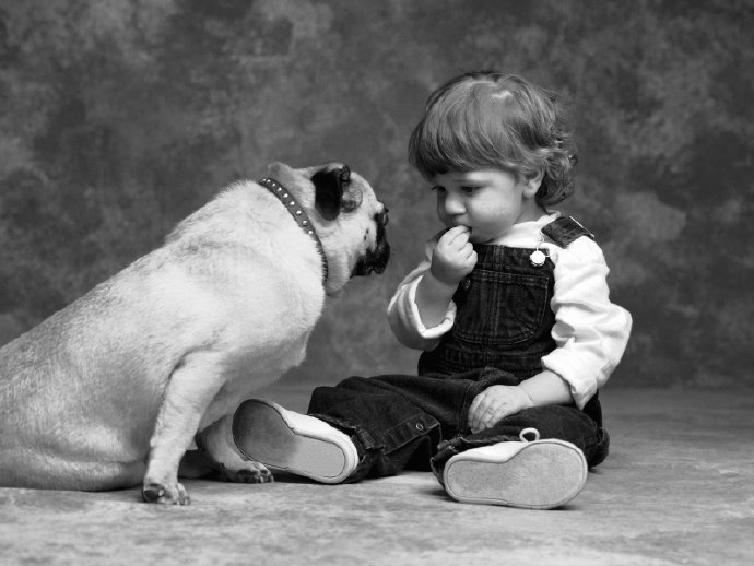 Patti Page《That Doggie In The Window》橱窗的