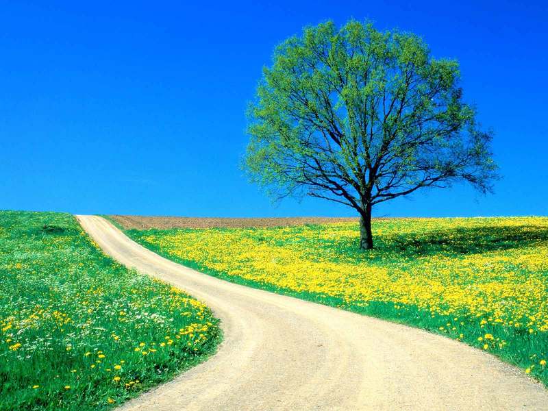 Johnny Cash《I am so lonesome I could cry